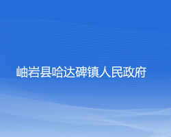 岫岩县哈达碑镇人民政府政务服务网