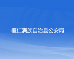 桓仁满族自治县公安局网上办事大厅