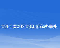 大连金普新区大孤山街道办事处