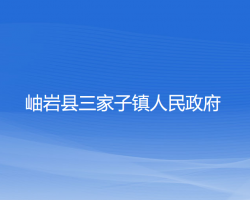 岫岩县三家子镇人民政府