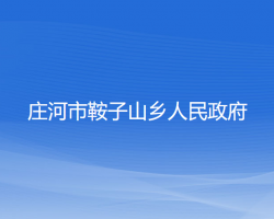 庄河市鞍子山乡人民政府