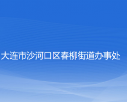 大连市沙河口区春柳街道办事处