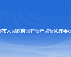 本溪市人民政府国有资产监