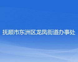 抚顺市东洲区龙凤街道办事处