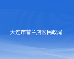 大连市普兰店区民政局