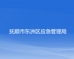 抚顺市东洲区应急管理局