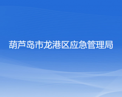 葫芦岛市龙港区应急管理局