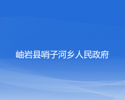 岫岩县哨子河乡人民政府政务服务网