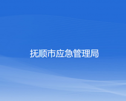 抚顺市应急管理局网上办事大厅