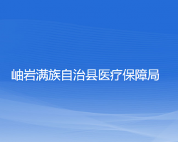 岫岩满族自治县医疗保障局