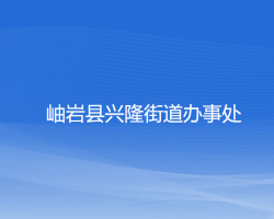 岫岩县兴隆街道办事处政务服务网