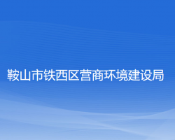 鞍山市铁西区营商环境建设局"