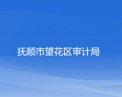 抚顺市望花区审计局默认相册