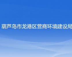 葫芦岛市龙港区营商环境建设局"