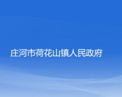 庄河市荷花山镇人民政府