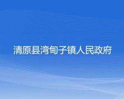 清原县湾甸子镇人民政府