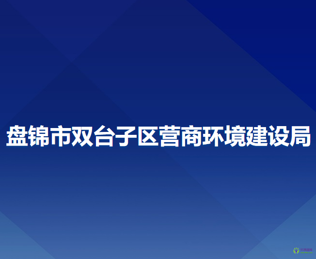 盘锦市双台子区营商环境建设局