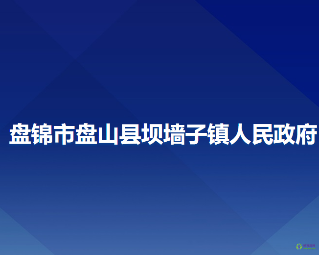 盘锦市盘山县坝墙子镇人民政府