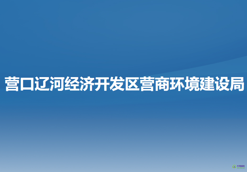 营口辽河经济开发区​营商环境建设局