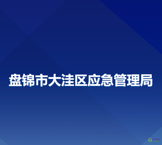 盘锦市大洼区应急管理局