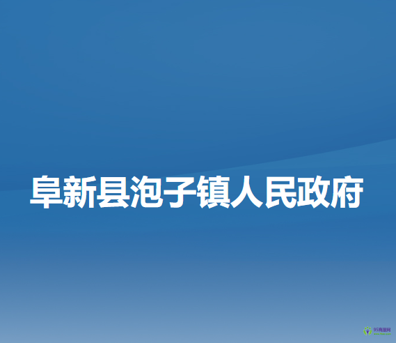阜新县泡子镇人民政府