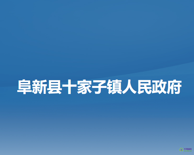 阜新县十家子镇人民政府