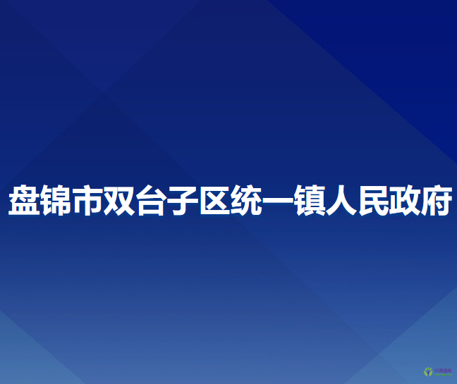 盘锦市双台子区统一镇人民政府
