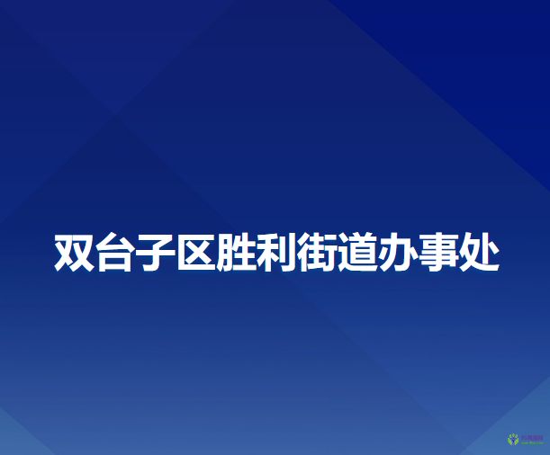 盘锦市双台子区胜利街道办事处