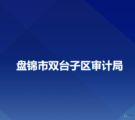 盘锦市双台子区审计局