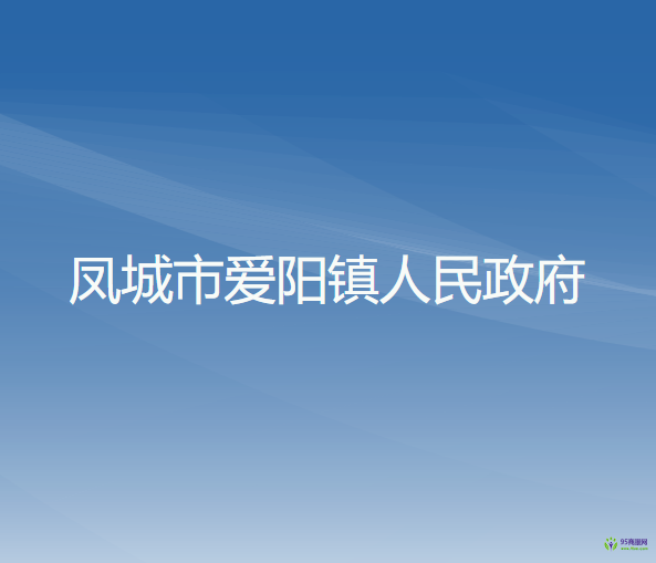 凤城市爱阳镇人民政府