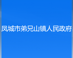 凤城市弟兄山镇人民政府