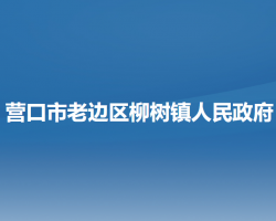 营口市老边区柳树镇人民政府