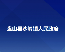 盘山县沙岭镇人民政府政务服务网