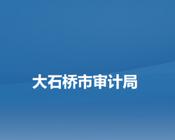 大石桥市审计局默认相册