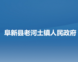 阜新县老河土镇人民政府