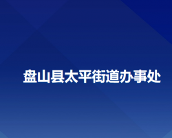 盘山县太平街道办事处政务服务网