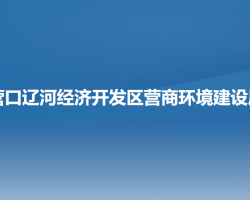 营口辽河经济开发区​营商环境建设局