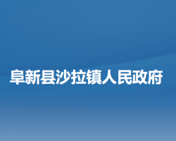 阜新县沙拉镇人民政府