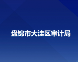 盘锦市大洼区审计局