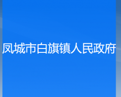 凤城市白旗镇人民政府