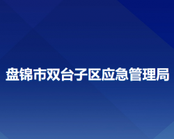 盘锦市双台子区应急管理局