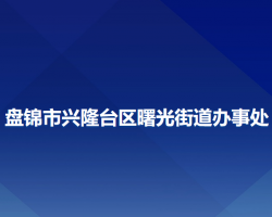 盘锦市兴隆台区曙光街道办事处