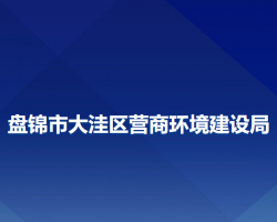 盘锦市大洼区营商环境建设局