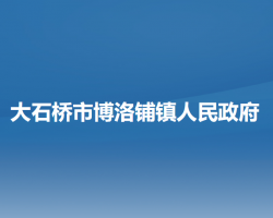 大石桥市博洛铺镇人民政府政务服务网