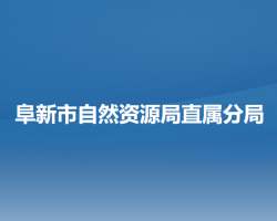 阜新市自然资源局直属分局