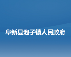 阜新县泡子镇人民政府