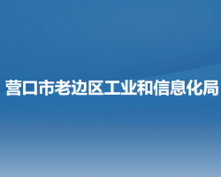 营口市老边区工业和信息化局