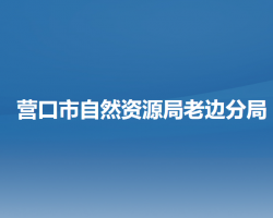 营口市自然资源局老边分局