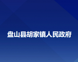 盘山县胡家镇人民政府政务服务网