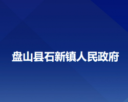 盘山县石新镇人民政府政务服务网